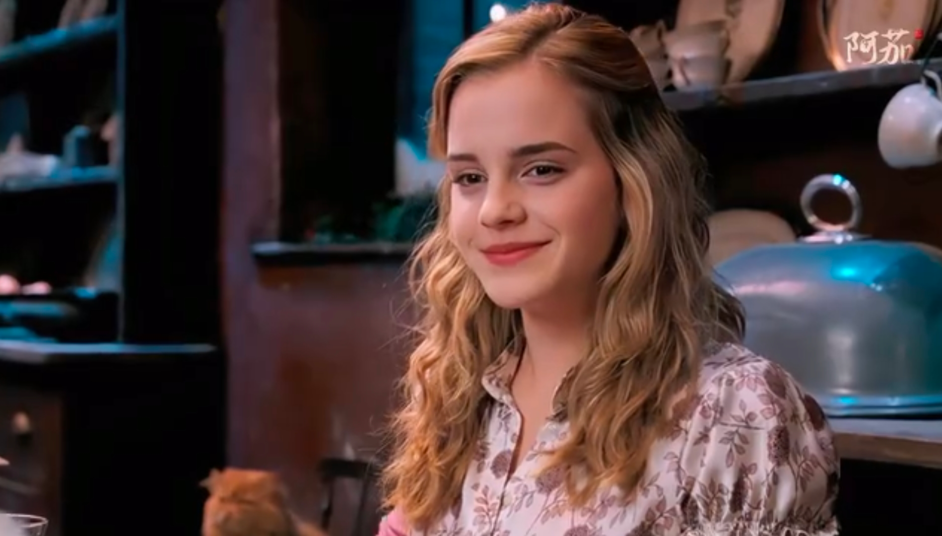 安卓丨Lj视频下载器_1.1.69_去广告版 - 刚需神器，请务必低调使用