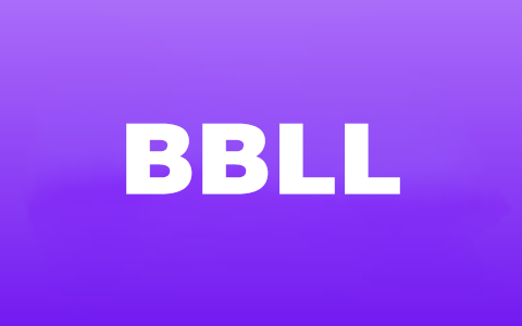 电视盒子丨BBLL_1.5.2_5改版 - 第三方B站，吾爱置顶神器，支持TV+pad