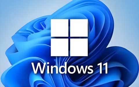 电脑丨不忘初心_Windows11_24H2_26100.4349_X64_可更新纯净精简版（2025.6）