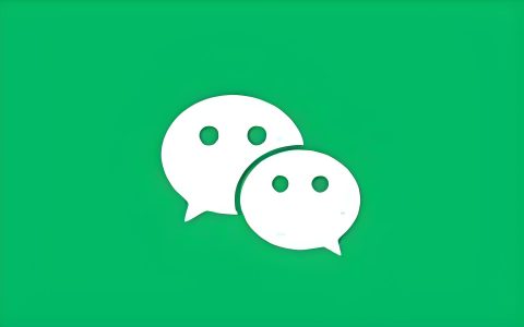 电脑丨PC微信_4.1.13.7_多开防撤回版 - 优化绿色便携版