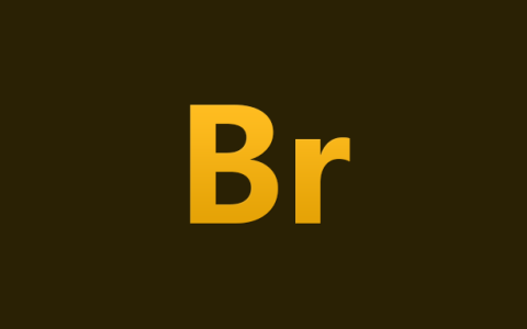 电脑（Win）丨Adobe Bridge 2019 – 专业特别版