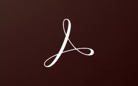 电脑（Win）丨Adobe Acrobat Pro DC 2021 – 专业特别版