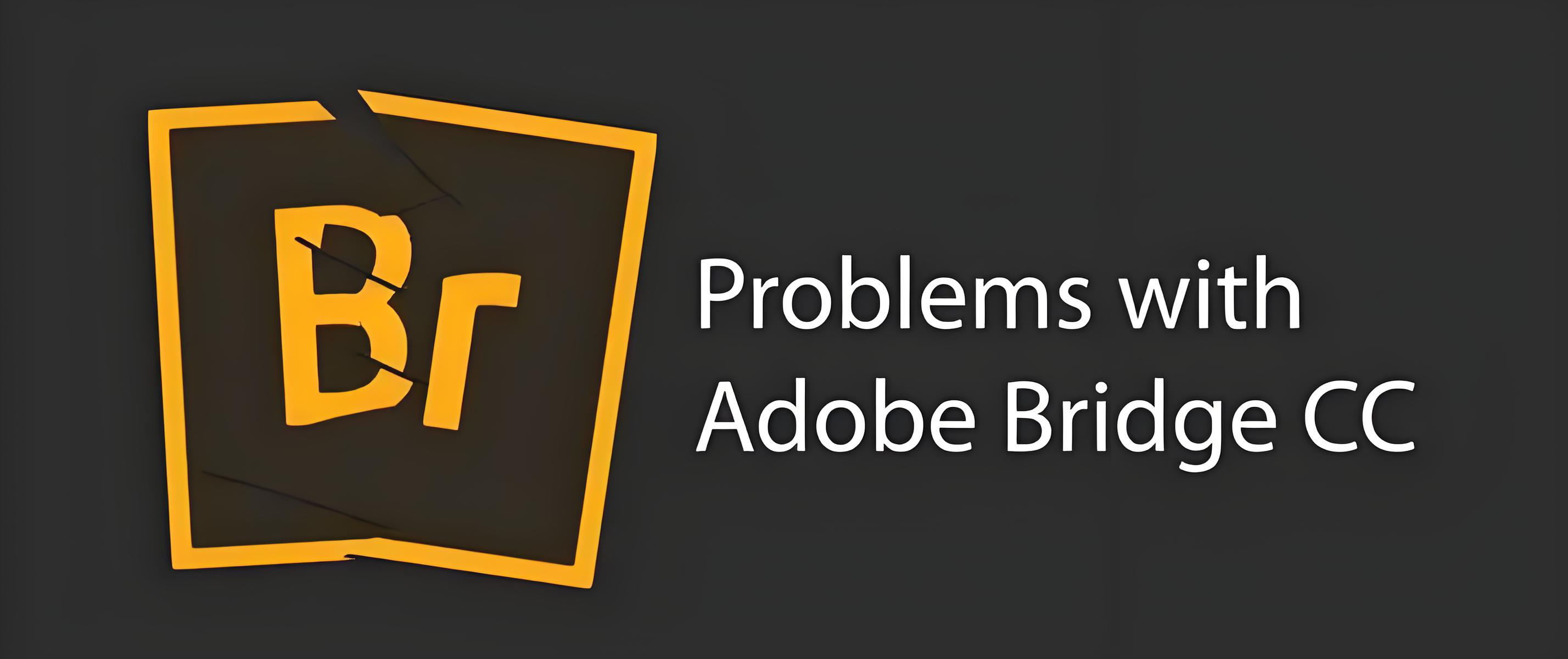 电脑（Win）丨Adobe Bridge CC  – 专业特别版