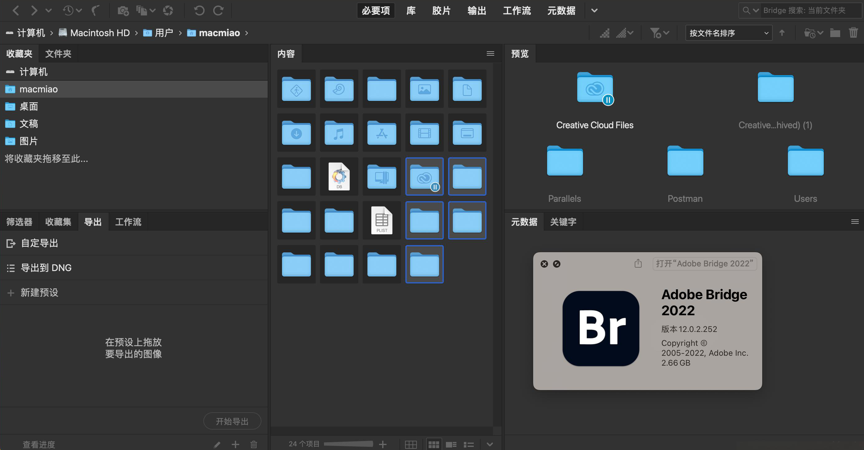 电脑（Win）丨Adobe Bridge 2022 – 专业特别版