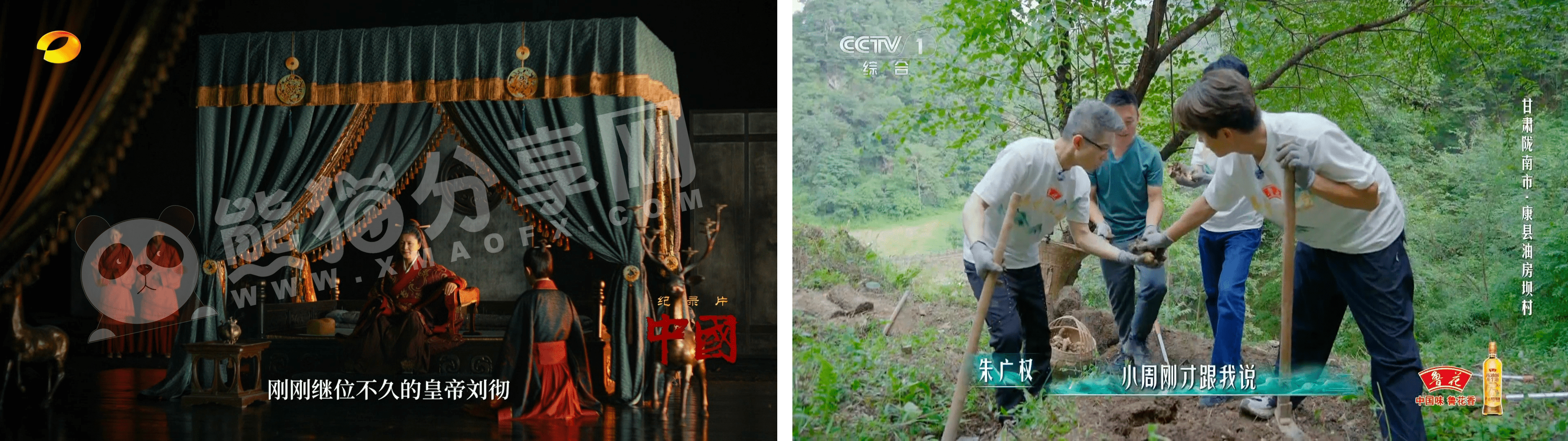 电视盒子丨乘风TV_1.0.3_会员版 - 无需授权随时随地免费观看