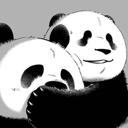 吾家老猫的头像